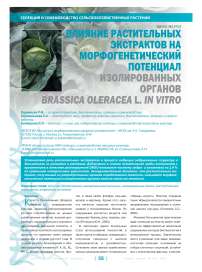 Влияние растительных экстрактов на морфогенетический потенциал изолированных органов Brassica oleracea L. in vitro