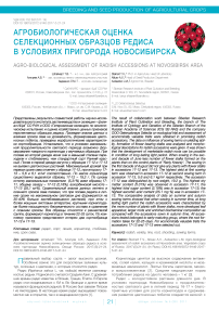 Агробиологическая оценка селекционных образцов редиса в условиях пригорода Новосибирска