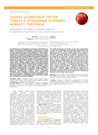 Оценка штамбовых сортов томата в орошаемых условиях Нижнего Поволжья