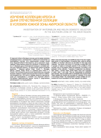 Изучение коллекции арбуза и дыни отечественной селекции в условиях южной зоны Амурской области