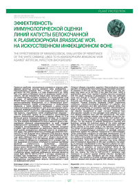 Эффективность иммунологической оценки линий капусты белокочанной к Plasmodiophora brassicae wor. на искусственном инфекционном фоне