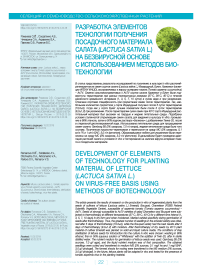 Разработка элементов технологии получения посадочного материала салата (Lactuca sativa L.) на безвирусной основе с использованием методов биотехнологии