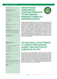 Биологическая эффективность различных препаратов против семенной инфекции сосудистого бактериоза капусты