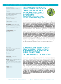 Некоторые результаты селекции базилика (Ocimum basilicum L.) в условиях Республики Молдова