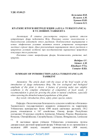 Краткие итоги интродукции (Ajuga turkestanica) в условиях Ташкента