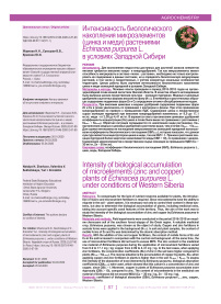 Интенсивность биологического накопления микроэлементов (цинка и меди) растениями Echinacea purpurea L. в условиях Западной Сибири