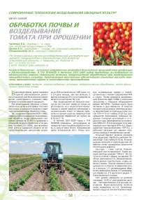 Обработка почвы и возделывание томата при орошении