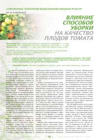 Влияние способов уборки на качество плодов томата