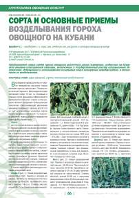 Сорта и основные приемы возделывания гороха овощного на Кубани