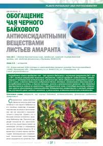Обогащение чая черного байхового антиоксидантными веществами листьев амаранта