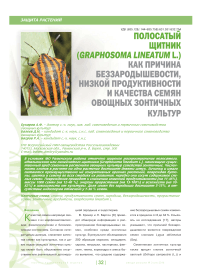 Полосатый щитник (graphosoma lineatum L.) как причина беззародышевости, низкой продуктивности и качества семян овощных зонтичных культур