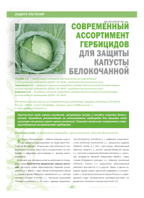 Современный ассортимент гербицидов для защиты капусты белокочанной