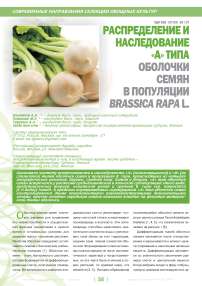 Распределение и наследование «A» типа оболочки семян в популяции brassica rapa l