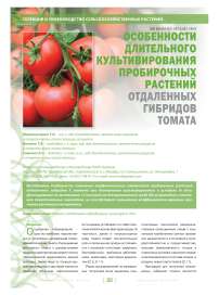 Особенности длительного культивирования пробирочных растений отдаленных гибридов томата