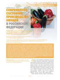 Современное состояние производства овощей в российской федерации