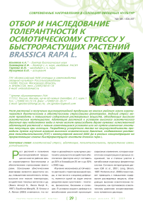 Отбор и наследование толерантности к осмотическому стрессу у быстрорастущих растений brassica rapa l