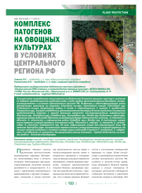 Комплекс патогенов на овощных культурах в условиях центрального региона РФ