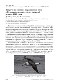 Встречи аномально окрашенных птиц в Беринговом море в летне-осенний период 2020 года
