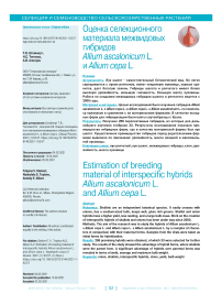 Оценка селекционного материала межвидовых гибридов Allium ascalonicum L. и Allium cepa L
