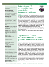 Potato viruses of 7 commercial cultivars grown in field Primorsky krai of Russia
