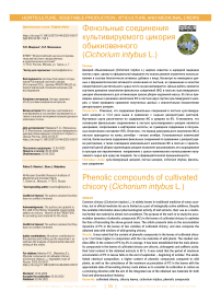 Фенольные соединения культивируемого цикория обыкновенного (Cichorium intybus L.)
