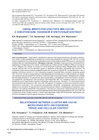 Связь микро-РНК кластера MIR-143/145 с онкогенезом: тканевой и клеточный контекст