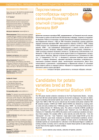 Перспективные сортообразцы картофеля селекции Полярной опытной станции - филиала ВИР