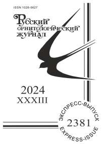 2381 т.33, 2024 - Русский орнитологический журнал