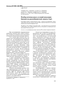 Подбор оптимальных условий индукции биосинтеза рекомбинантной липазы LipA