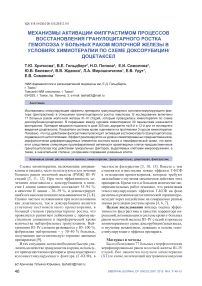 Механизмы активации филграстимом процессов восстановления гранулоцитарного ростка гемопоэза у больных раком молочной железы в условиях химиотерапии по схеме доксорубицин/доцетаксел