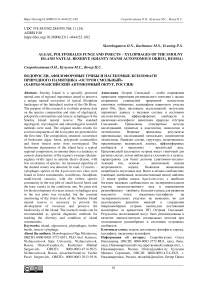 Algae, polyporales fungi and insects - xylophages of the Smolny island natural reserve (Khanty-Mansi autonomous okrug, Russia)