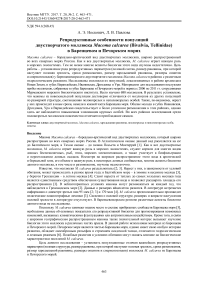 Репродуктивные особенности популяций двустворчатого моллюска Macoma calcarea (Bivalvia, Tellinidae) в Баренцевом и Печорском морях