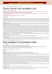 Этиология и патогенез острых пиелонефритов у детей