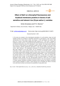 Effect of NaCl on chlorophyll fluorescence and thylakoid membrane proteins in leaves of salt sensitive and tolerant rice (Oryza sativa L) varieties
