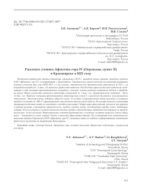 Раскопки стоянки афонтова гора IV (Овражная, пункт II) в Красноярске в 2021 году