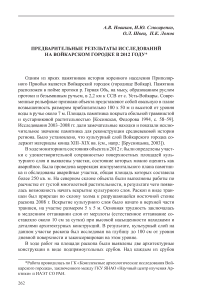 Предварительные результаты исследований на Войкарском городке в 2012 году