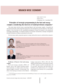 Principles of strategic programming in the fuel and energy complex considering the interests of small petroleum companies