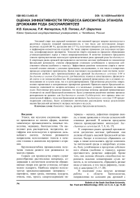 Оценка эффективности процесса биосинтеза этанола дрожжами рода Saccharomyces