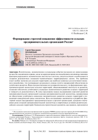 Формирование стратегий повышения эффективности сельских предпринимательских организаций России