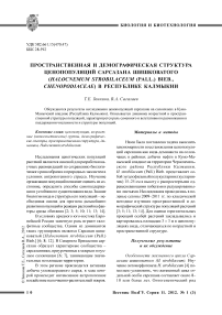 Пространственная и демографическая структура ценопопуляций сарсазана шишковатого (Halocnemum strobilaceum (Pall.) Bieb., Chenopodiaceae) в Республике Калмыкии