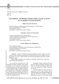 Halophilic microorganisms from saline wastes of starobin potash deposit