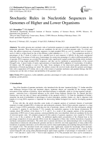 Stochastic Rules in Nucleotide Sequences in Genomes of Higher and Lower Organisms
