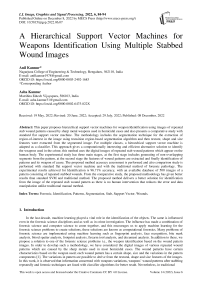A Hierarchical Support Vector Machines for Weapons Identification Using Multiple Stabbed Wound Images