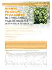 Влияние регулятора роста Мицефит на урожайность редьки посевной (Raphanus sativus L.)