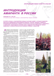 Интродукция амаранта в России