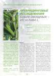 Пребридинговые исследования бобов овощных - vicia faba l