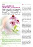 Выращивание эхинацеи пурпурной (echinacea purpurea L.) для получения разных видов лекарственного растительного сырья