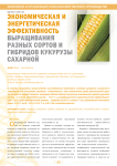 Экономическая и энергетическая эффективность выращивания разных сортов и гибридов кукурузы сахарной