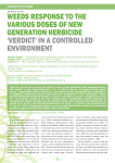 Weeds response to the various doses of new generation herbicide ''Verdict'' In a controlled environment