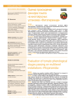 Оценка прохождения фенофаз томата на многоярусных установках "Фитопирамида"